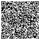 QR code with Cast Technology Inc contacts