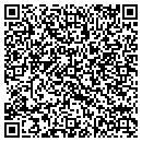 QR code with Pub Graphics contacts