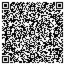 QR code with Cyber Data System Inc contacts