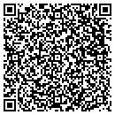 QR code with C D V Environmental Cons contacts