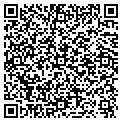 QR code with Lighting Expo contacts