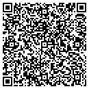 QR code with Custom Baths & Florss contacts