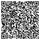 QR code with Cs Schulte Galleries contacts