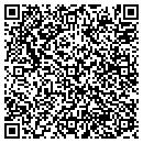 QR code with C & F Limousine Corp contacts