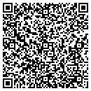 QR code with Processflow Inc contacts