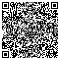 QR code with Amgems contacts
