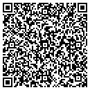 QR code with Projects Inc contacts