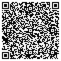QR code with Lolas contacts
