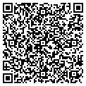 QR code with Segiaf contacts