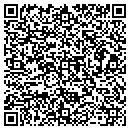 QR code with Blue Ribbon Pools Inc contacts