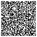 QR code with Caithness Glass Inc contacts