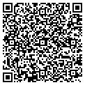 QR code with Signco contacts
