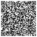 QR code with Colour Painting 2000 contacts