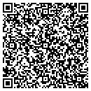 QR code with Carpet Workshop Inc contacts