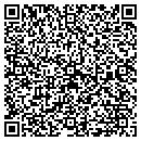 QR code with Professional Cad Services contacts