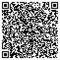 QR code with Curves contacts