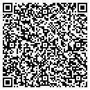 QR code with Cervinis Auto Design contacts