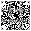 QR code with Pulse Analytics Inc contacts