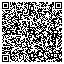 QR code with Pro Web Solutions contacts