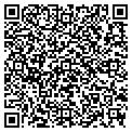 QR code with LEGEND contacts