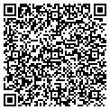 QR code with Slg Holdings LLC contacts