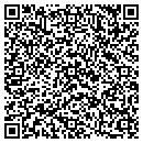 QR code with Celerity Group contacts