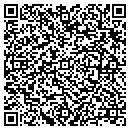 QR code with Punch List Inc contacts