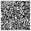 QR code with Protype Fabrication contacts