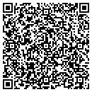 QR code with Puggy's Auto Sales contacts
