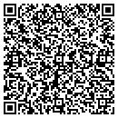 QR code with Boylans Tree Service contacts