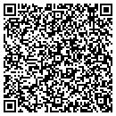 QR code with Professional Services contacts