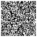 QR code with Project Impact contacts