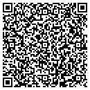 QR code with Prince Telecom Inc contacts
