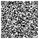 QR code with Cilli Environmental Group contacts