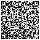 QR code with Pulsonics Inc contacts
