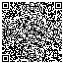 QR code with Carpet Surgeon contacts