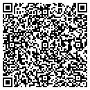 QR code with Puzzlamazick contacts