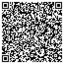 QR code with Cibao Provisions Inc contacts