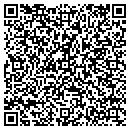 QR code with Pro Sash Inc contacts