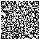 QR code with Professional Detailing contacts