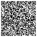 QR code with Pumping Services Inc contacts