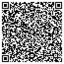 QR code with Cronin Electric Inc contacts