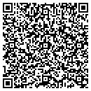 QR code with Colson Environmental contacts