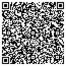 QR code with Theodore Angowski CPA contacts