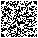 QR code with Carteret Coding Inc contacts