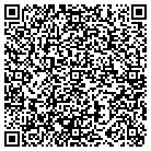 QR code with Blink Courier Service Inc contacts