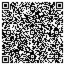 QR code with Pyzzo Software contacts