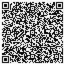 QR code with Punto Sabroso contacts