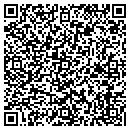 QR code with Pyxis Consulting contacts