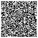 QR code with Boral Bricks Studio contacts